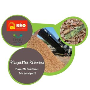 Plaquettes de résineux