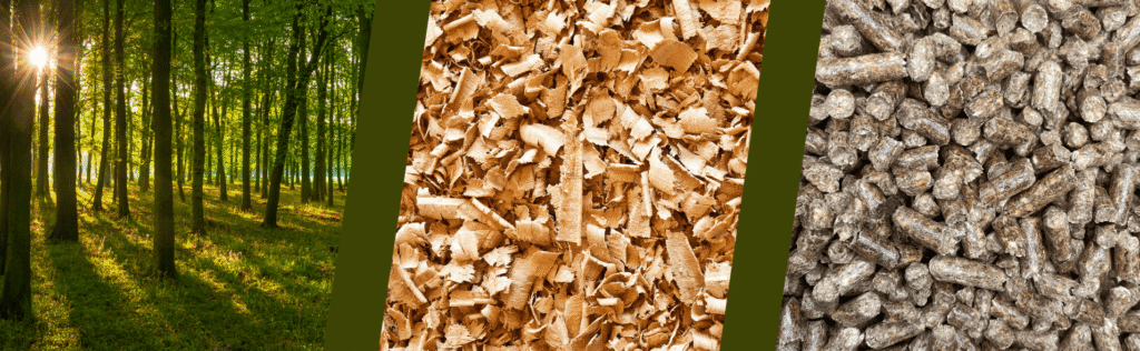 Processus de création de granulés de bois Français pour Gard'Bois