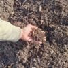 Compost végétal haute qualité