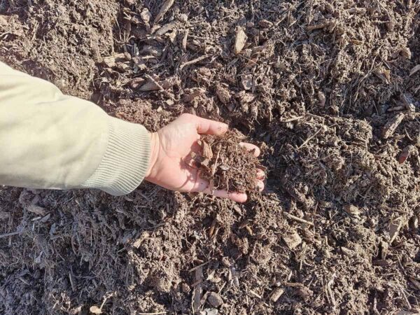 Compost végétal haute qualité